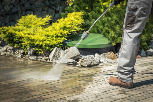 Trusted Freer, TX Pressure Washing Experts
