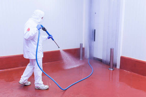 Best Pre-Holiday Cleaning  in Freer, TX